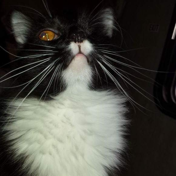 Meet your Posher, Carol - Picture 16 of 16